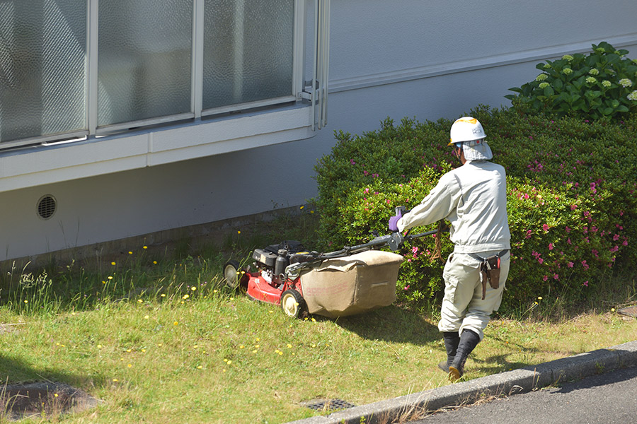 草木に関するお困りごとはお任せください